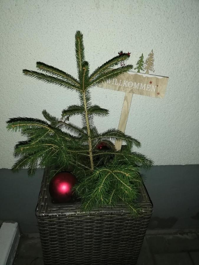 Pension Winter Mucheln Dış mekan fotoğraf